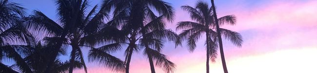るなるな★'s header image