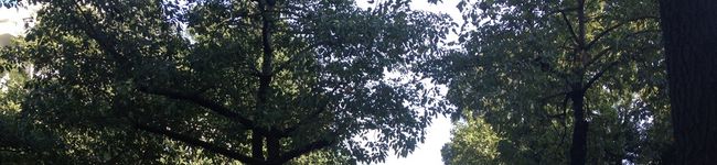なおみんみっくす's header image