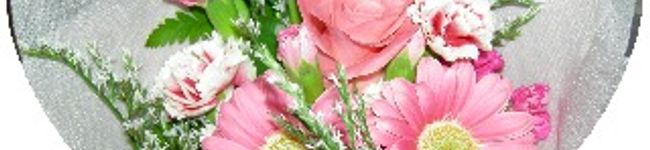 はらっぺさん♪'s header image
