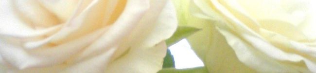 tanu木's header image