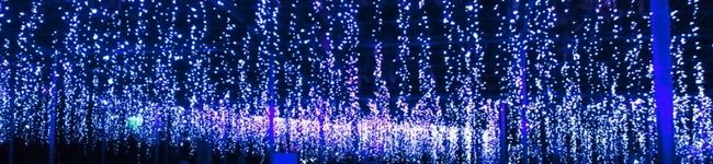 ★ちゃそ's header image