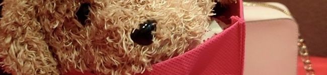 nan0v0's header image