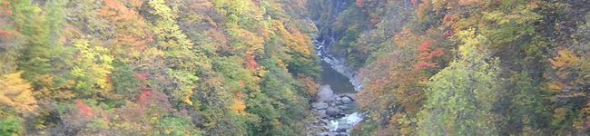 T&K's header image