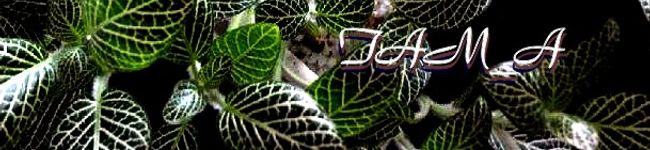 TAM_A's header image