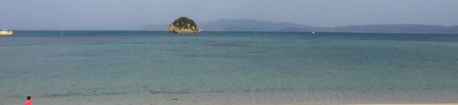 pinkaina's header image
