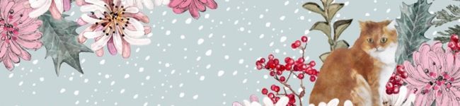 kumachaan's header image