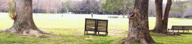 じぇんとるまん's header image