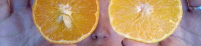 meginwales's header image