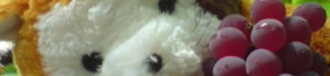 rascalpon's header image