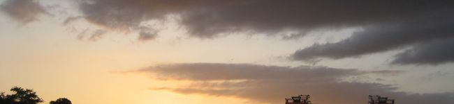 すだP's header image
