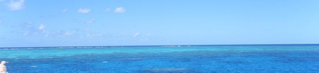 choko2's header image