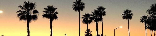 oclilly's header image