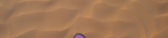 BTREE's header image