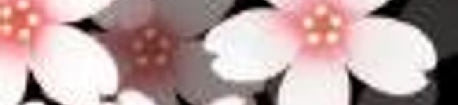 このちんO's header image