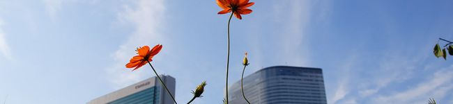 舞花♪'s header image
