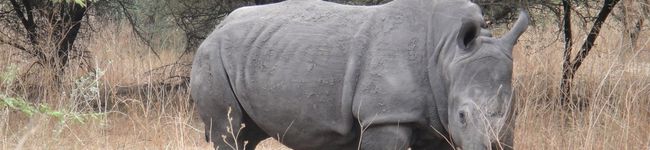 JetA's header image