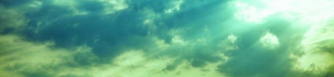 pao（¨）'s header image
