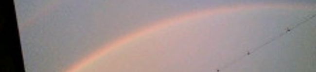 lizaliza3's header image