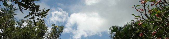 ぼたんえみ's header image