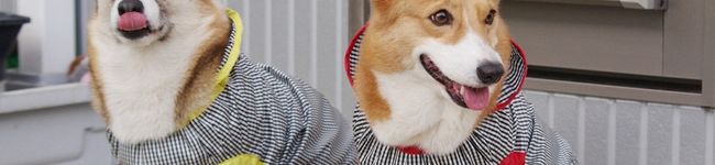 アンディ's header image