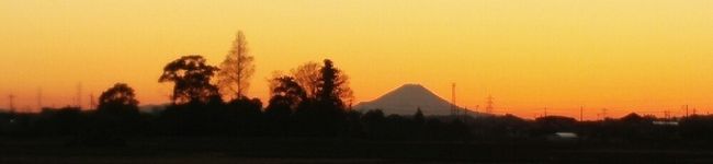 napin's header image