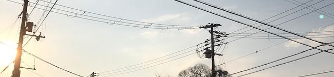 nekota713's header image