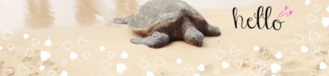 N＋M's header image