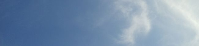 たむタム's header image