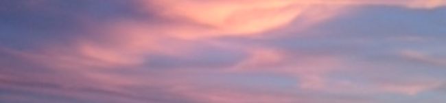さくらあかり's header image