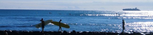 nachufuji's header image