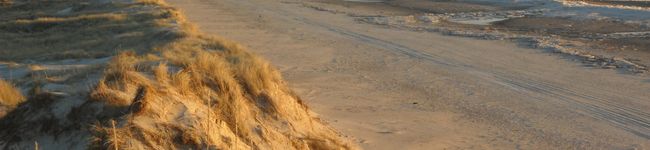 Rlsa's header image