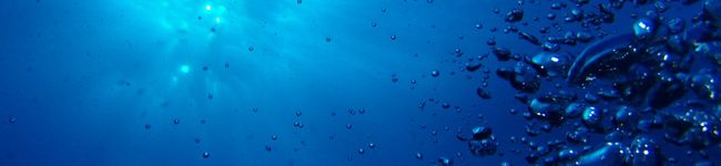 miitanto's header image