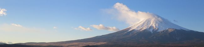 ホイのすけ's header image