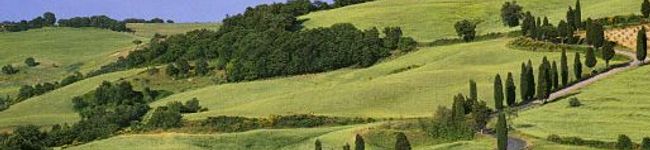Ulisse's header image