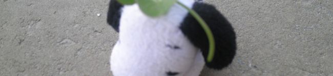 ぱっつんこけし's header image