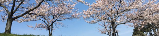 おちーび's header image