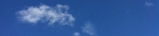 sachipon's header image