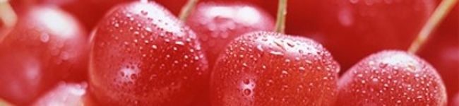 可可亞's header image