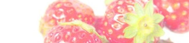 紗耶音's header image