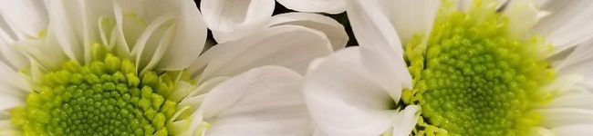 saram1ee's header image