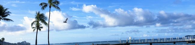 蒼緑茶's header image