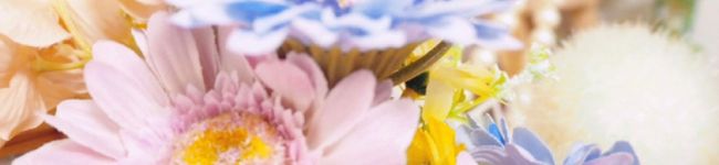 mariniko's header image