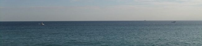 rio0925's header image