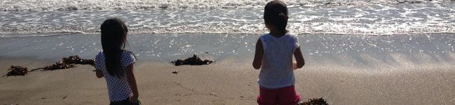 mina375's header image