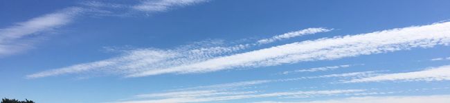 菅井きょん2010's header image