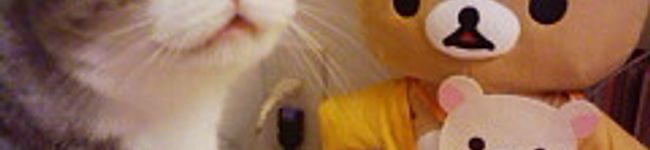 rovinmama's header image