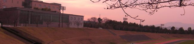 naorimama's header image