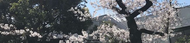 姫79's header image