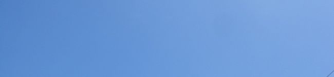 パパシェフの嫁's header image