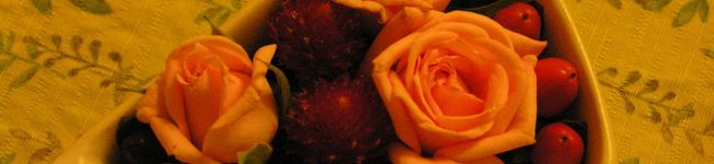 Lana's header image